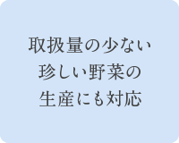 取扱量の少ない珍しい野菜の生産にも対応